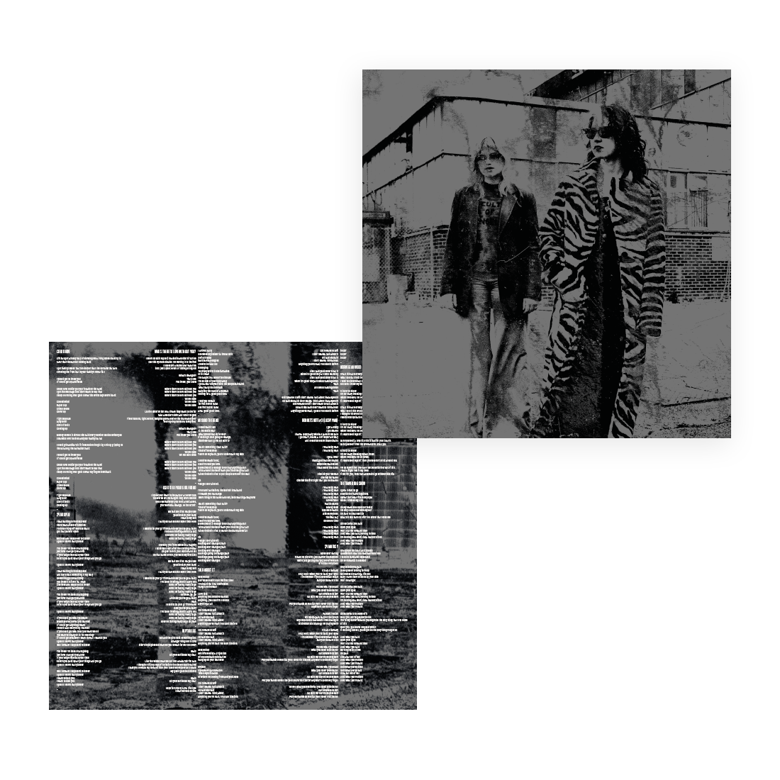 Picture Parlour - The Parlour: Store Exclusive LP