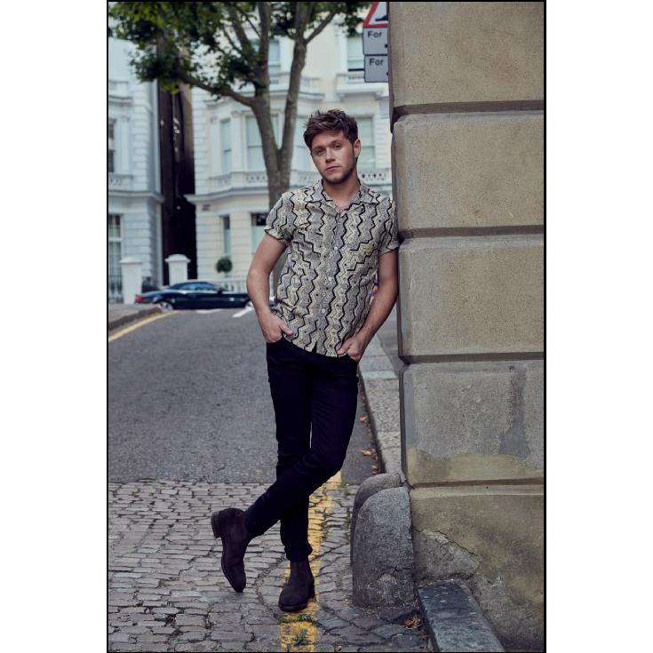 Niall Horan - 11" x 17 Poster