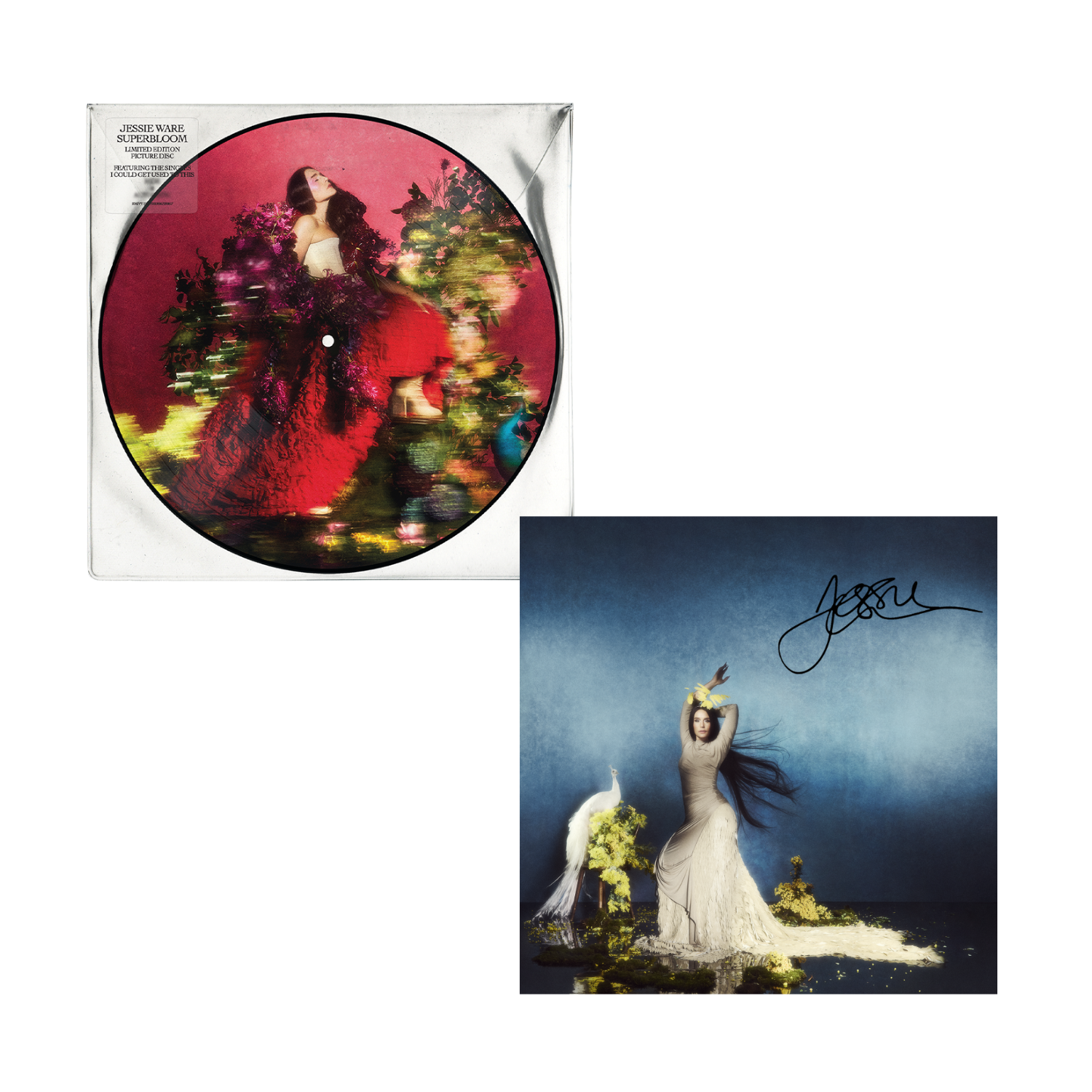 Superbloom - Picture Disc LP + Signed Art Card